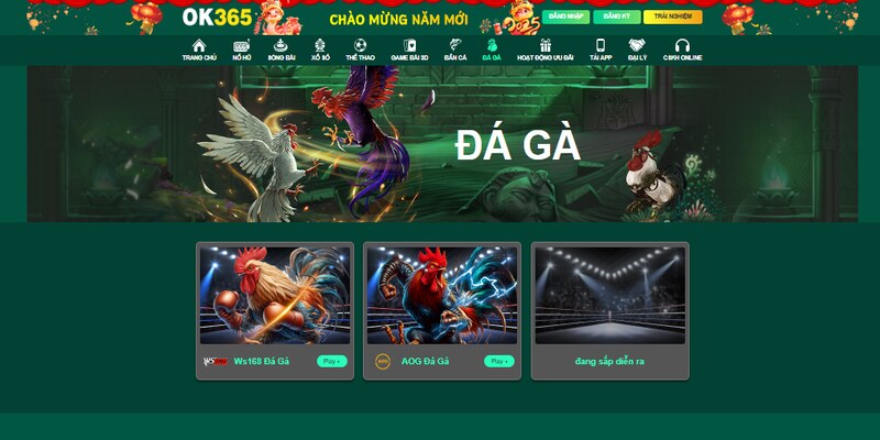 Đá gà OK365 mang đến trải nghiệm mới