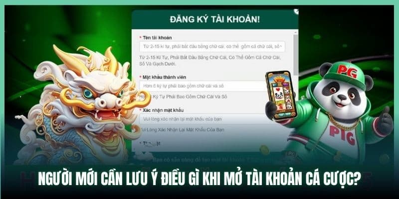 Điều khoản về đăng ký