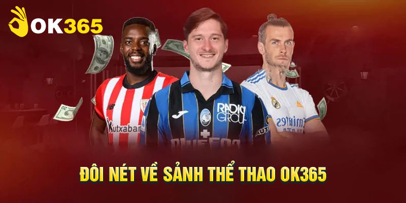Khái quát những nét chung về sân chơi thể thao OK365