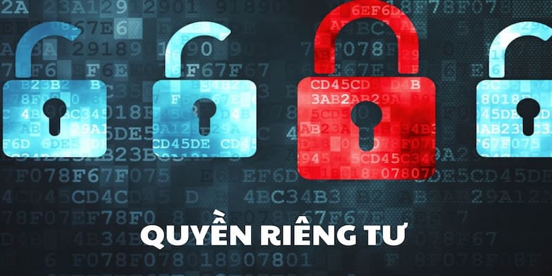 Sơ lược về quyền riêng tư