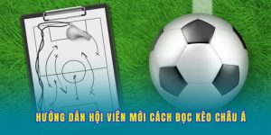 Hướng dẫn hội viên mới cách đọc kèo châu Á