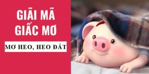 Lý giải từng trường hợp nằm mơ thấy heo cụ thể