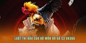 Luật cá cược của đá gà C3 OK365