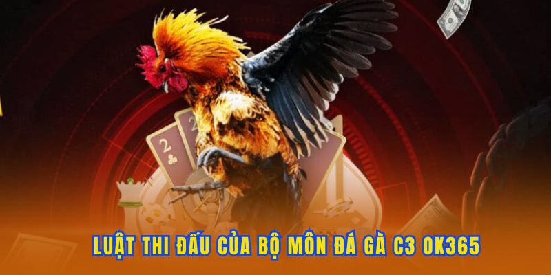 Luật cá cược của đá gà C3 OK365