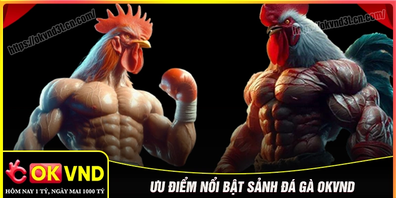 Khám phá sảnh đá gà OKVND có gì đặc biệt?