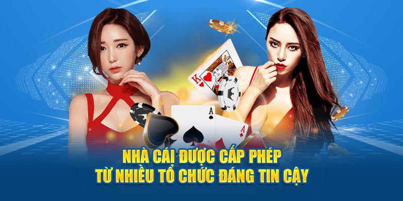 cac-don-vi-kiem-dinh-cap-phep-san-choi-mm99