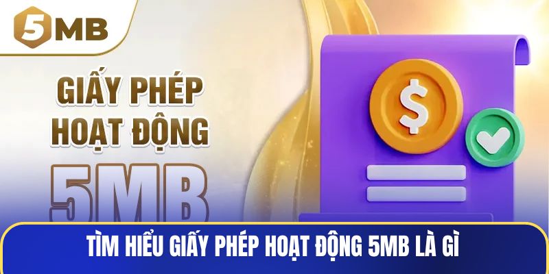 tim-hieu-giay-phep-hoat-dong-5mb-la-gi